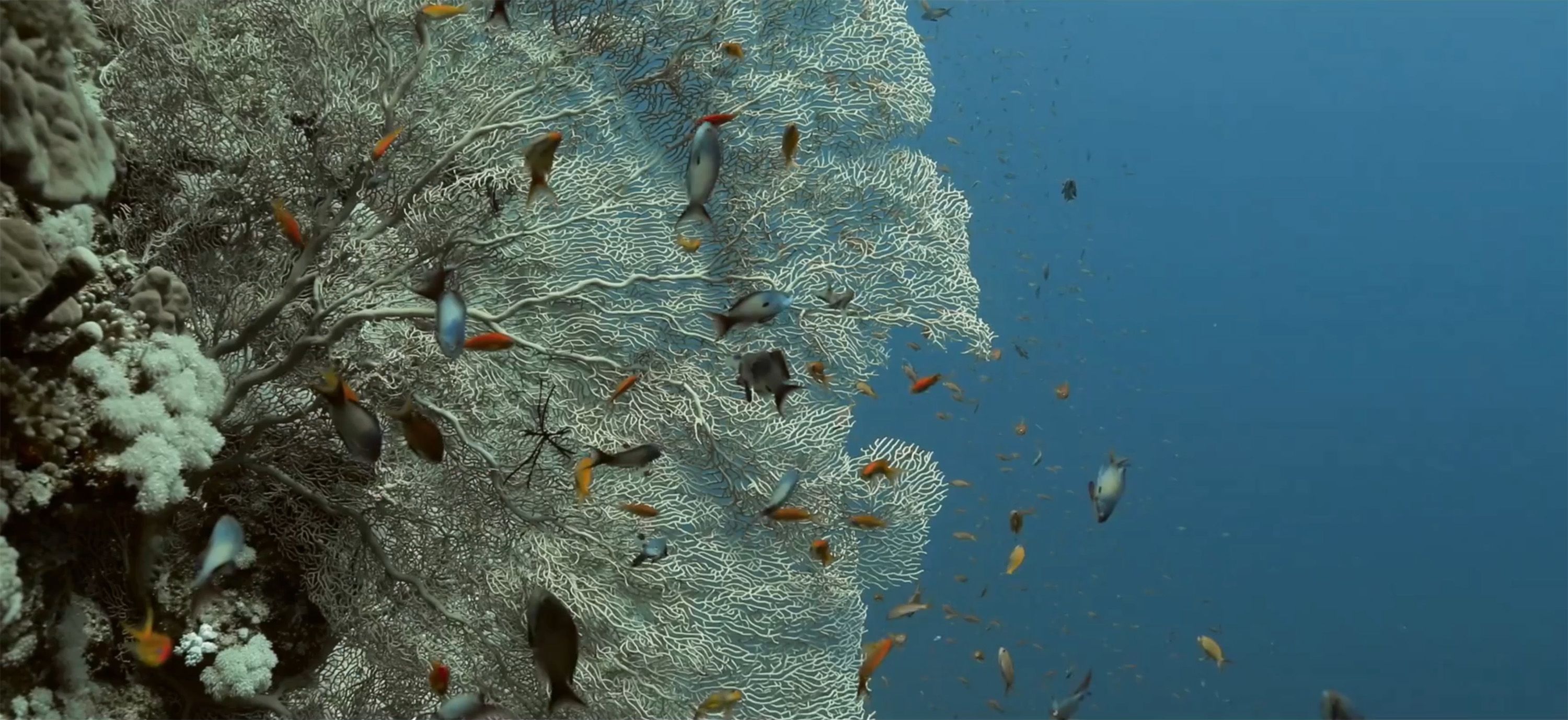 green leaves at daytime